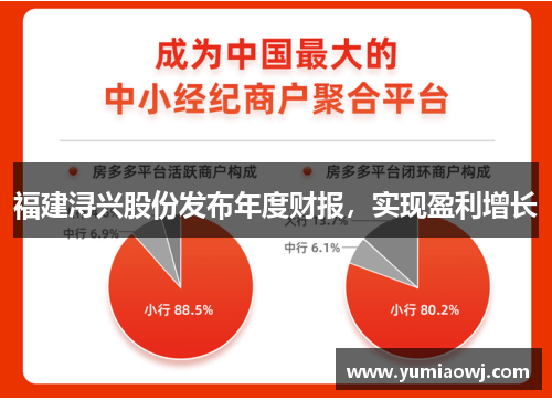 福建浔兴股份发布年度财报，实现盈利增长