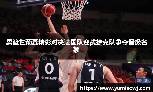 333体育男篮世预赛精彩对决法国队迎战捷克队争夺晋级名额